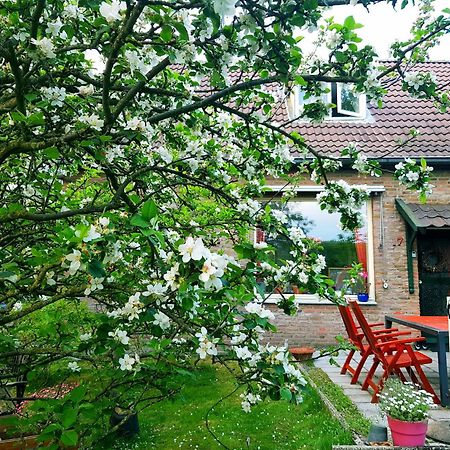 Huisjeaandedinkel Overdinkel ภายนอก รูปภาพ